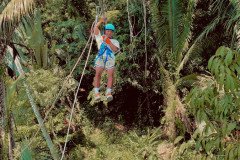 0515af8f-9998-4a19-ba37-0657ae9e0ef5