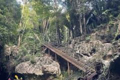 IMG-20240419-WA0006
