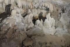 IMG-20240421-WA0002