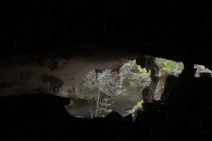 IMG_3137