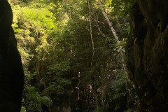 IMG_3223
