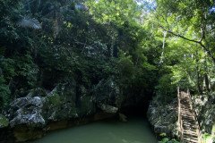 IMG_3264